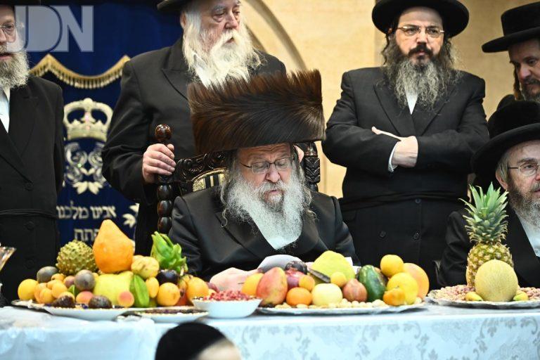 ט''ו בשבט בחצה''ק נדבורנה תשפ''ו צילום שוקי לרר (6)