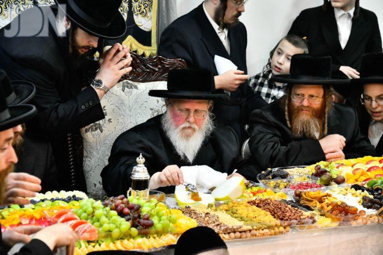 ט''ו בשבט בחצה''ק סאסוב תשפ''ו צילום שוקי לרר (4)