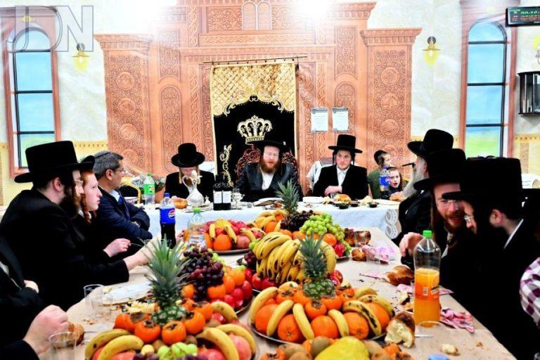 ט''ו בשבט בחצה''ק ספינקא בבית שמש צילום יהושע פרוכטר (11)