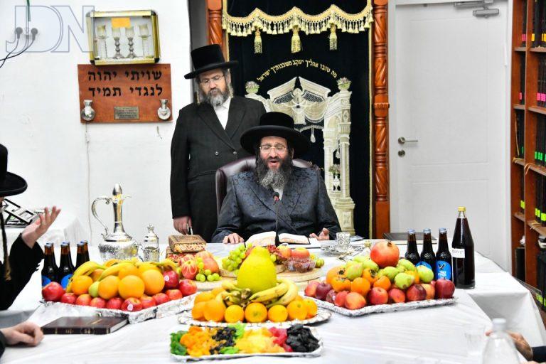 ט''ו בשבט בחצה''ק ספינקא רמת אהרון תשפ''ו צילום שוקי לרר (2)