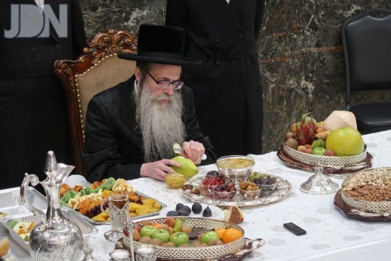 ט'''ו בשבט בחצה'''ק צאנז זוועהיל (4)