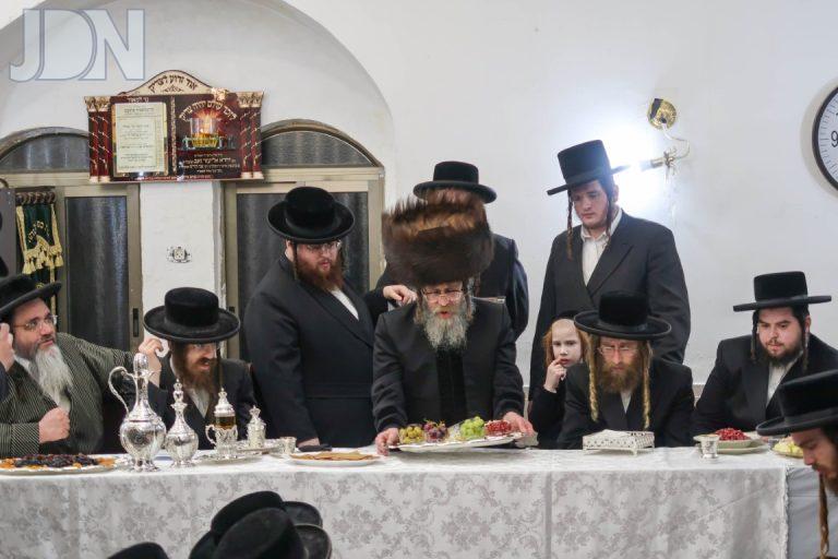 ט''ו בשבט בחצה''ק קרעטשניף סיגעט צילום מ.א