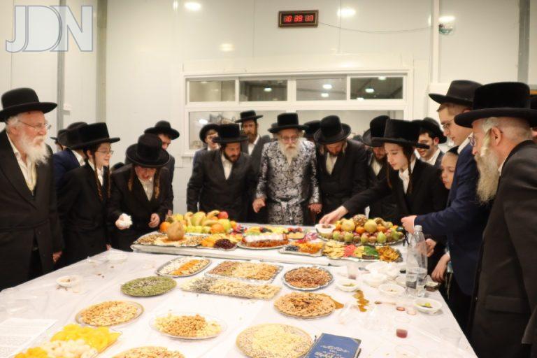 ט''ו בשבט בחצה''ק שאץ דרהאביטש - בית שמש צילום ר