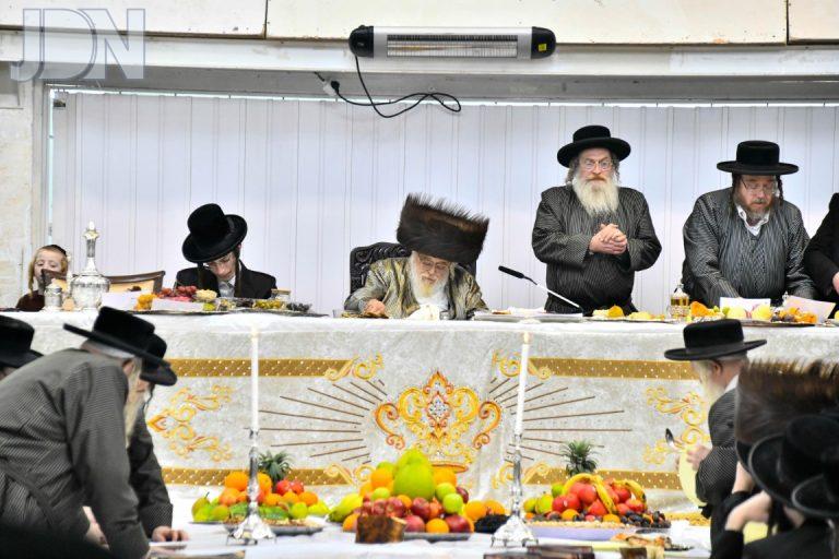 ט''ו בשבט בחצה''ק תולדות אהרון תשפ''ו צילום שוקי לרר (3)