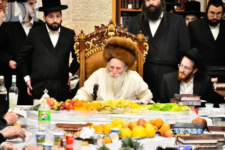ט''ו בשבט בחצה''ק תורת חכם תשפ''ו צילום שוקי לרר (3)