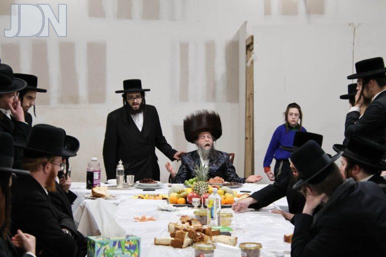 ט''ו בשבט בחצה''קקרעטשניף סיגעט וויליאמסבורג צילום שלמה