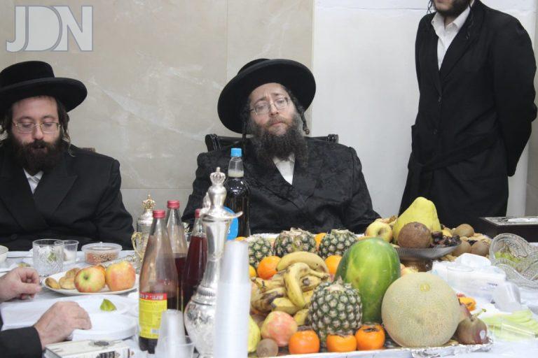 ט''ו בשבט בחצר הקודש צאנז זימגראד