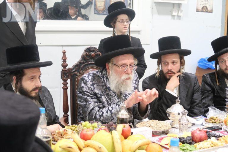 ט''ו בשבט בחצרה''ק שאץ דרוהביטש צילום שימי פ (2)