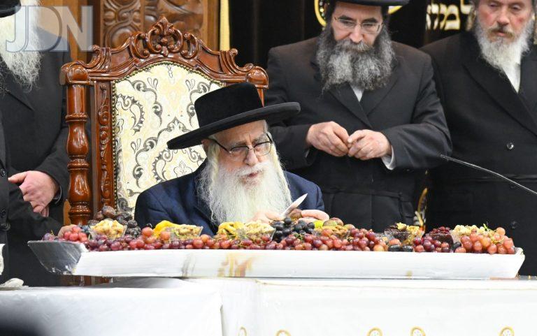 ט''ו בשבט צאנז תשפ''ו צילום משה גולדשטיין (9)
