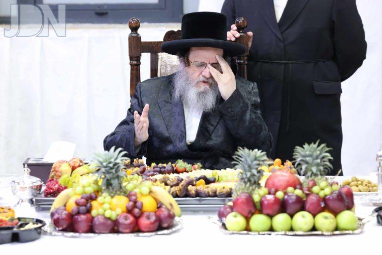 טיש ט''ו בשבט בחצה''ק דינוב - צילום שמואל דריי (1)