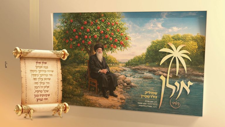 מלבן - אילן