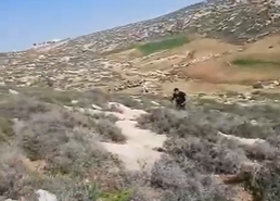 צילום מסך 2026-02-02 161212