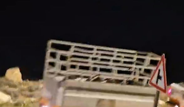 צילום מסך 2026-02-08 152325
