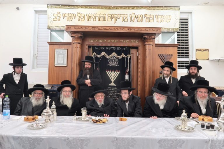 קאפיטשיניץ פרדס כץ אירוסין (45)