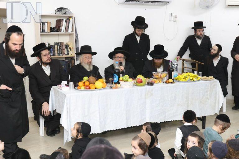 קארלסבורג צפת ט''ו בשבט ריבניץ (14)