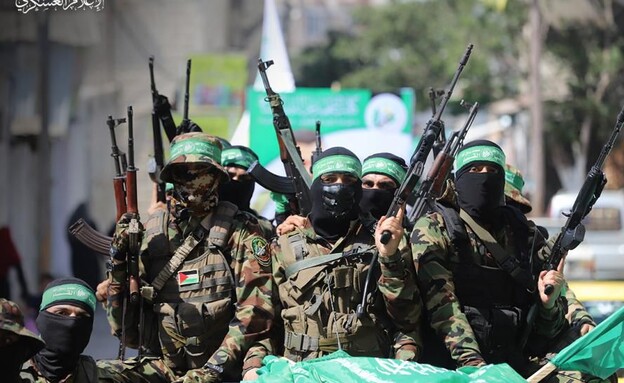hamas2_autoOrient_i