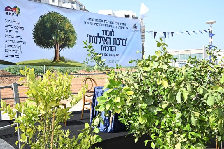 אדמורים ורבנים ברכת האילנות צפון בני ברק (49)
