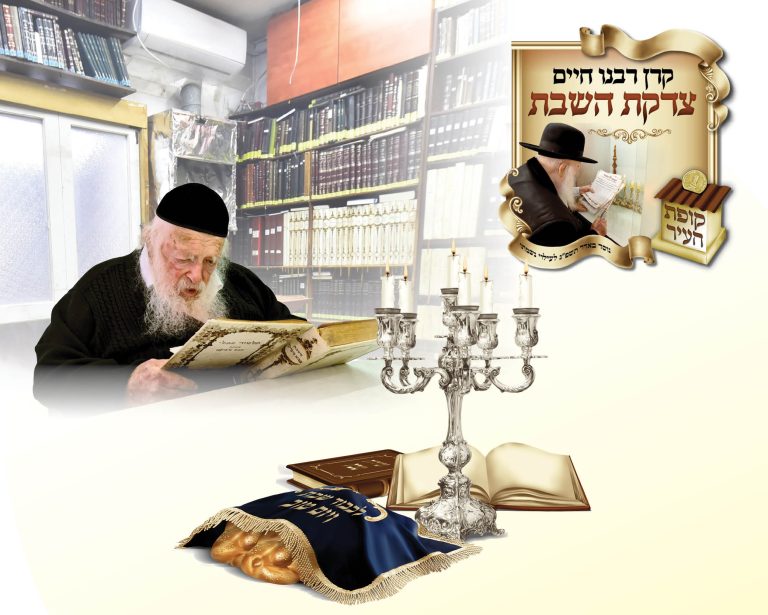 באנר ממשיכים צדקת רבי חיים 7