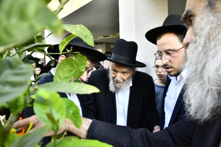 הגרמ''ה הירש בברכת האילנות (3)