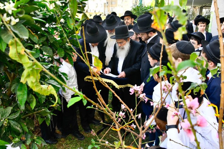 הגר''ש שטיינמן ברכת האילנות (12)