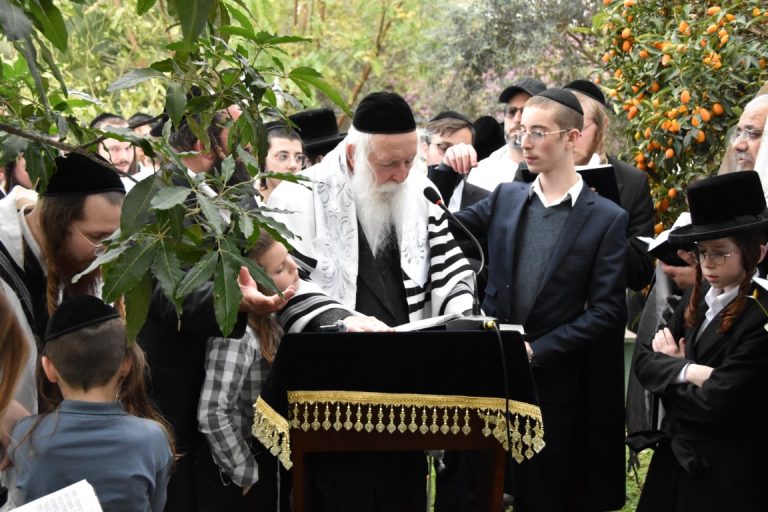 הרב יצחק דוד גרוסמן מצות וברכת האילנות (1)