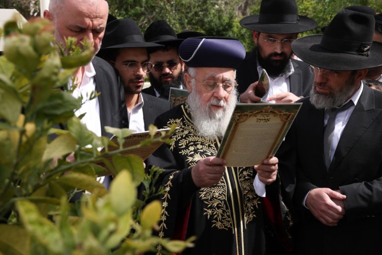 הרשל''צ רב יצחק יוסף בברכת האילנות. צילום דוד ארזני