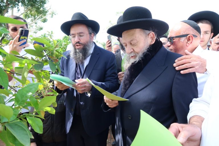 זקן המקובלים רבי דוד בצרי ראש ישיבת השלום בברכת האילנות צילום ש.פ