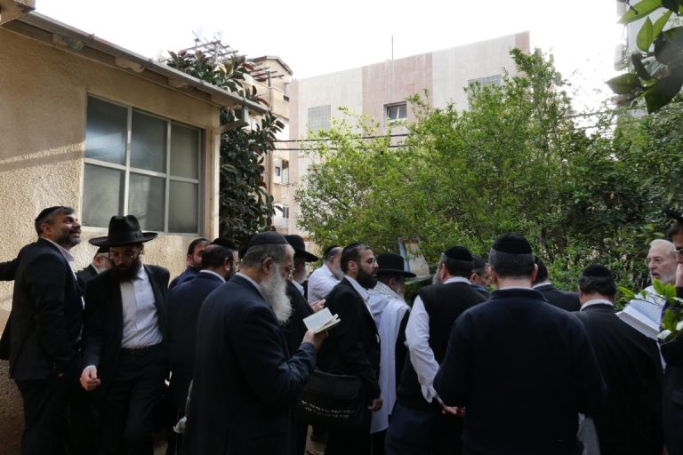 חכם ניסים בן שמעון בברכת האילנות בראש חודש ניסן צילום ש.פ