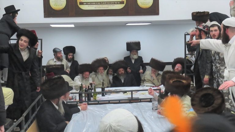לעלוב בראנאוויץ פורים פו (4)