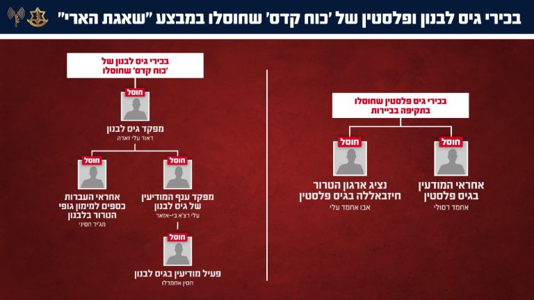 מחוסלי הלילה