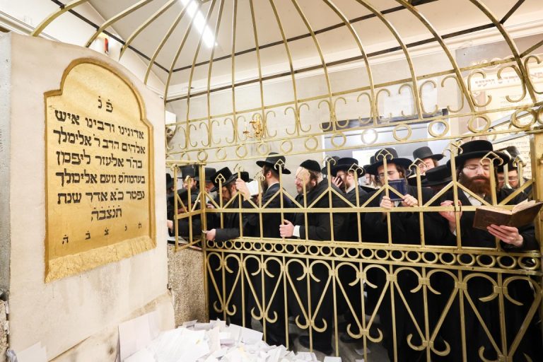 משארם א' שייח ועד לסעודת ההילולא המרכזית ליז'ענסק תשפ''ו צילום א