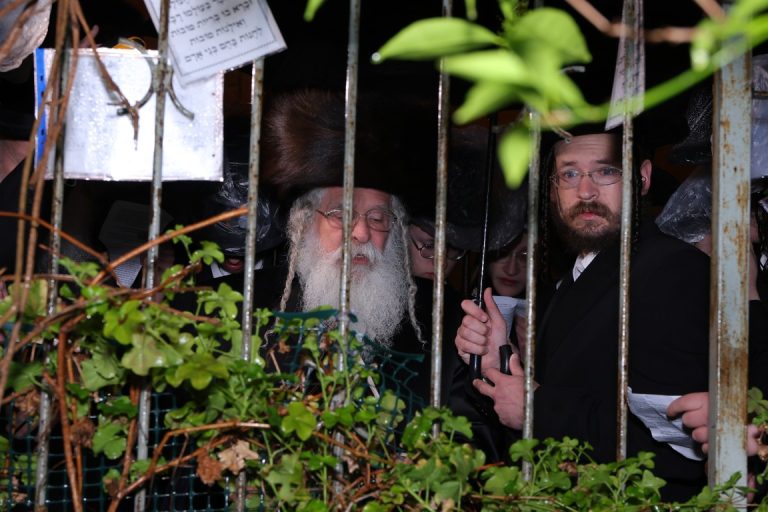 נדבורנה ירושלים ברכת האילנות (1)