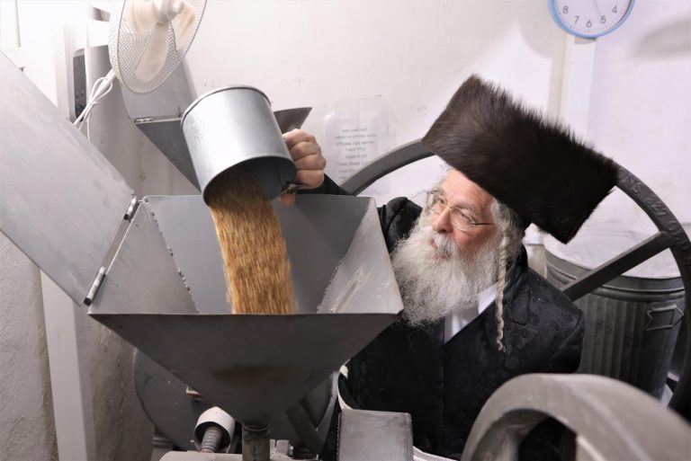 נדבורנה ירושלים טחינת חיטים (2)