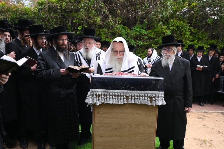 צאנז ברכת האילנות (5)