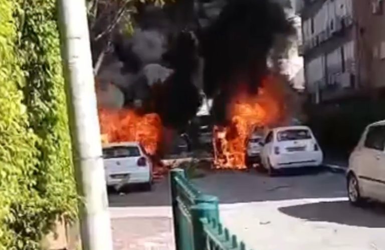 צילום מסך 2026-03-31 095658