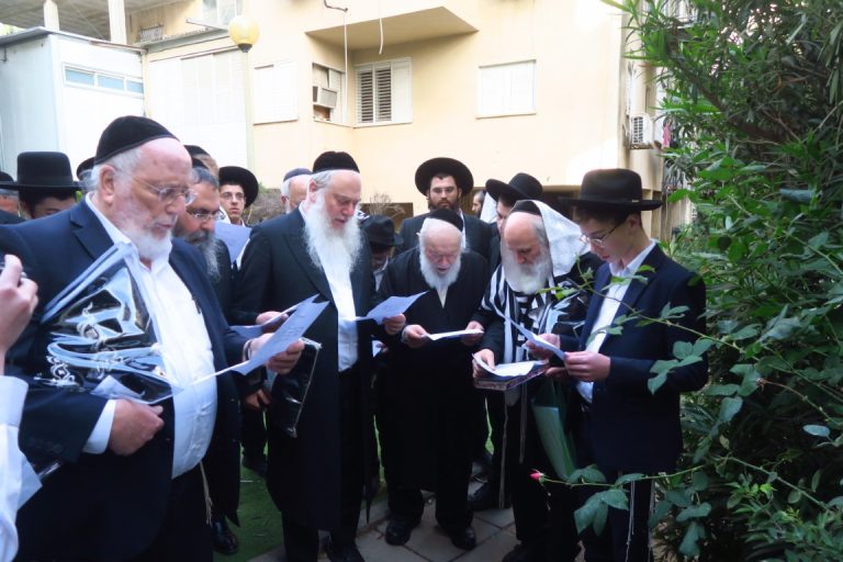 ר' מרדכי שמואל אדלשטיין בברכת האילנות צילום מ