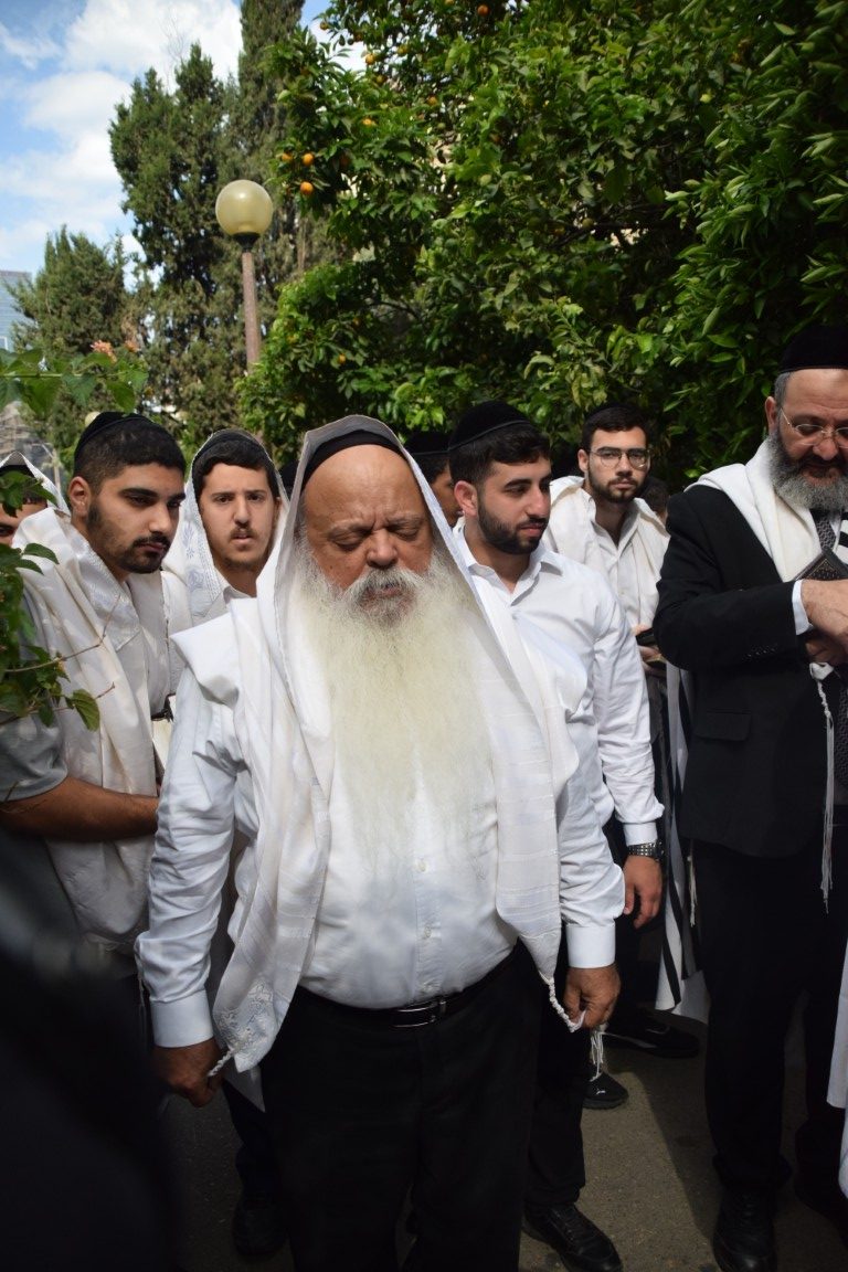 רבי דניאל זר רו''מ אור דוד בב''ב בברכת האילנות ראש חודש ניסן צילום ש.פ