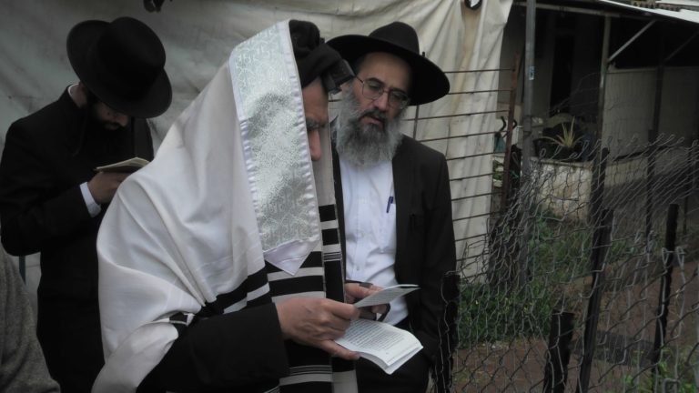 רבי יצחק רצאבי רו''מ פעולת צדיק בברכת האילנות בחצר בית מדרשו צילום ש.פ
