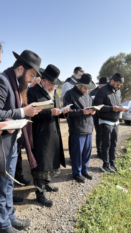 רבי שלמה בוסו רו''מ תפארת לישראל ברכת האילנות ראש חודש ניסן צילום ש.פ
