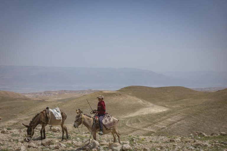 MIDEAST ISRAEL NATURE