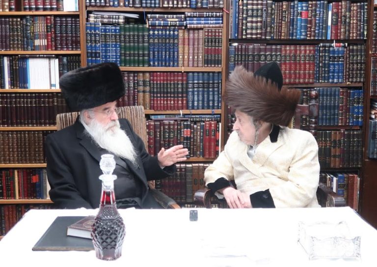 אדמורי''ם מנאובמינסק וגארליץ בביקור חג אצל אדמו''ר מסקאליע (5)