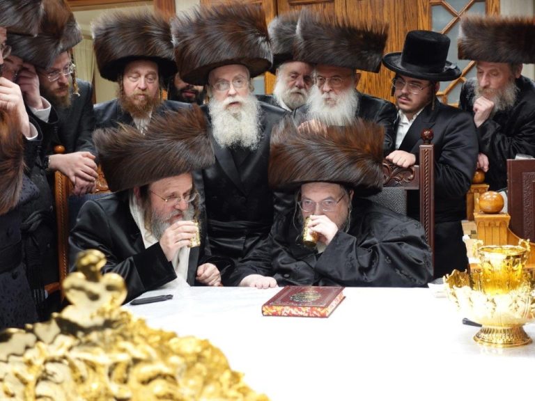 האדמו''ר מדינוב בביקור אצל האדמור מבעלזא חוה''מ (7)