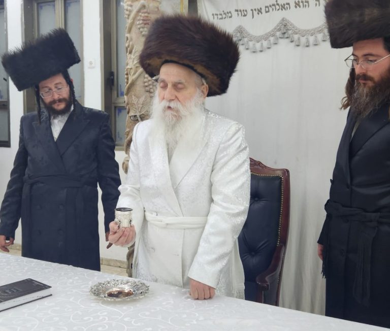 חג הפסח בחצר הקודש בוטושאן (8)
