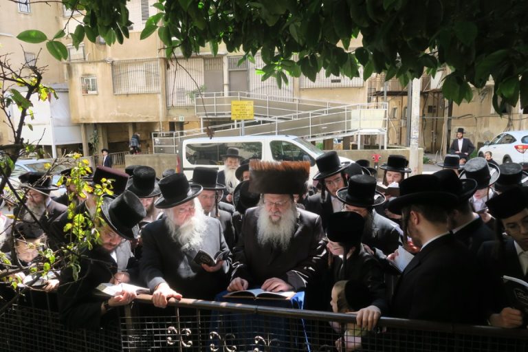 חג הפסח בחצר הקודש נדבורנה - צילום מ.ה.ה