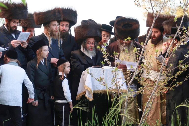 חג הפסח בחצר הקודש קרעטשניף סיגעט - צילום מ.א