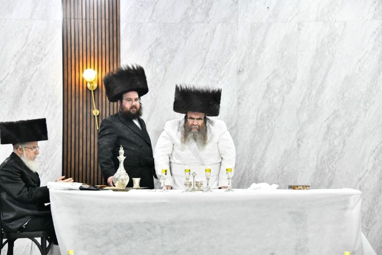 מלווה מלכה פסח (3)