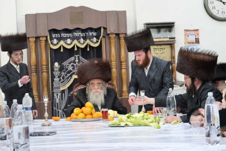 מראות קודש חג המצות בחצר הקודש שידלובצא צילום שימי פ