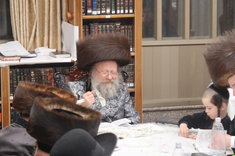 נדבורנא באניא צילום י פריד (1)