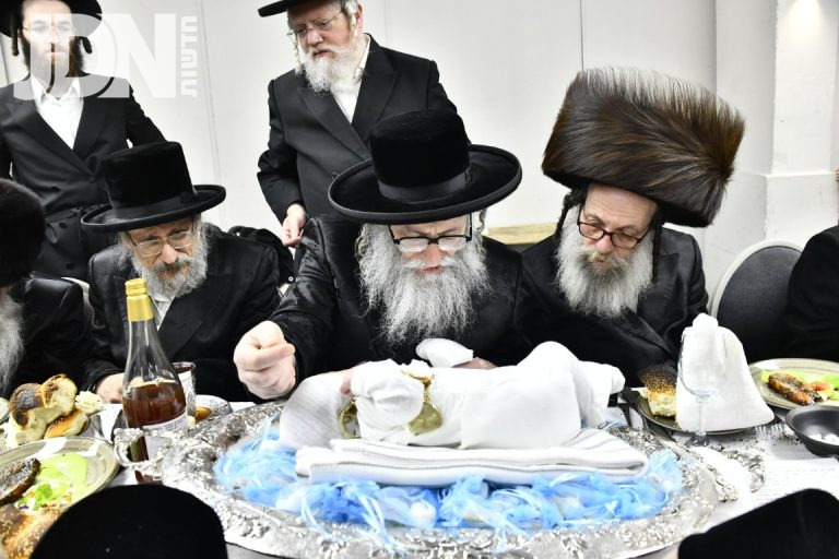 נדבורנה חיפה ענגלענדר פדיון הבן (25)