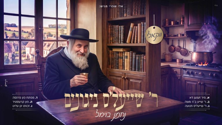 עטיפה מלבנית ר' שייעל׳ס ניגונים (1)
